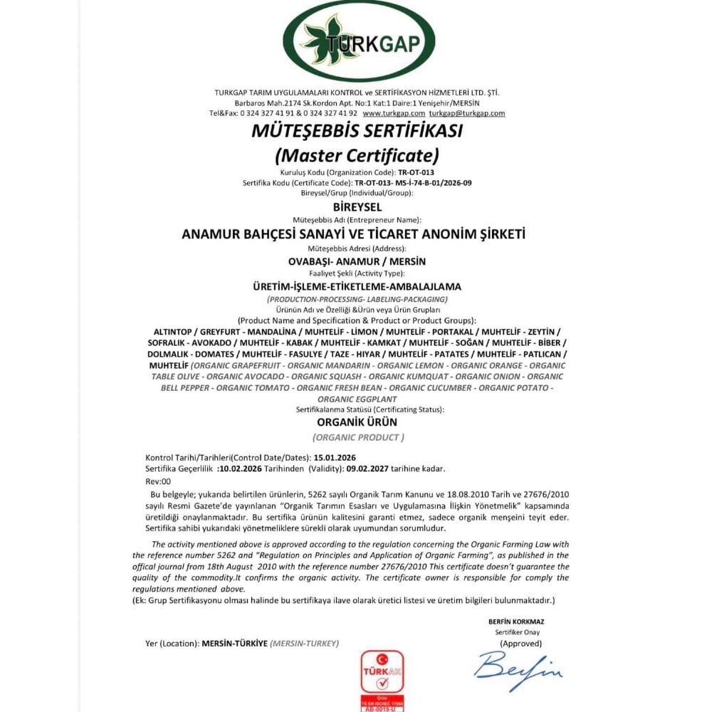 Organik Avokado (adet)