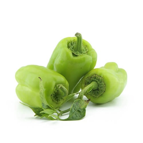 Organik Dolmalık Biber (500 gr) Salih Özkan Çiftliği-Bursa