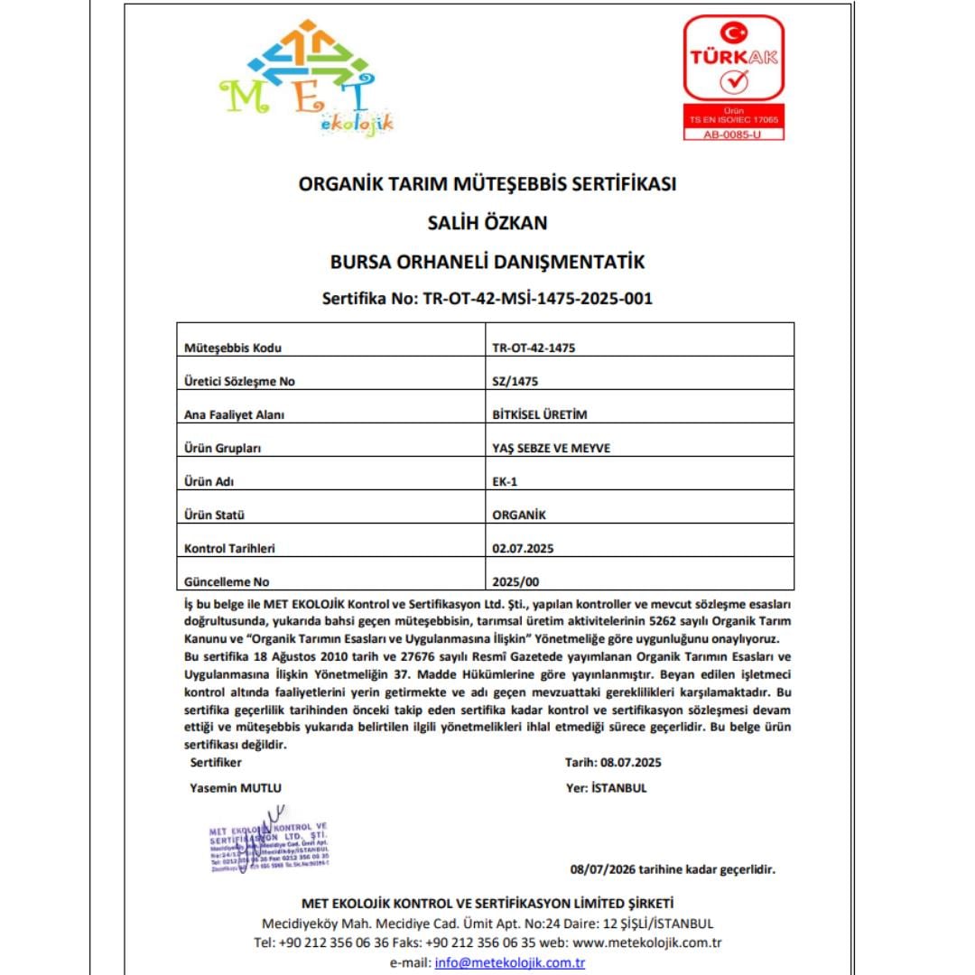 Organik Dolmalık Biber (500 gr) Salih Özkan Çiftliği-Bursa
