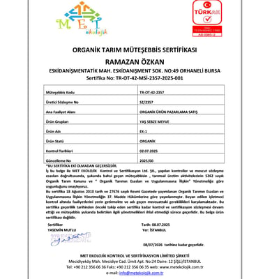 Organik Grannysmith Elma (500 gr) Salih Özkan Çiftliği-Bursa