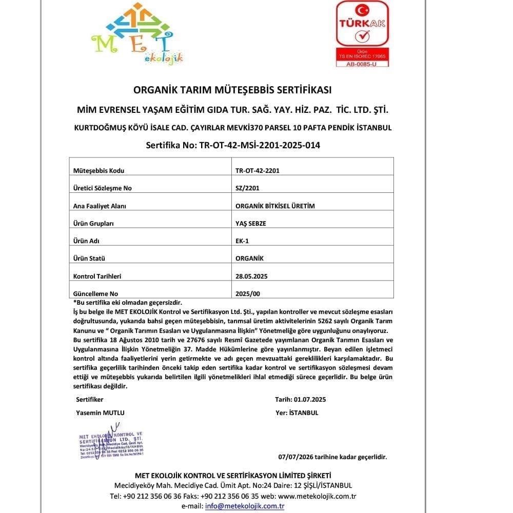 Organik Kabak (500 gr) Kurtdoğmuş Çiftliği