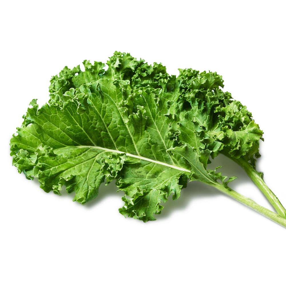 Organik Kale Yaprağı (150 gr) Ersöz Bahçesi - Afyon