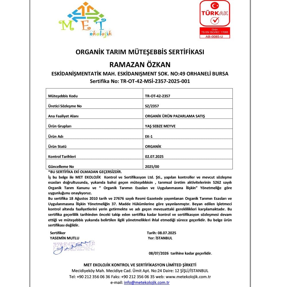 Organik Kayısı (500 gr) Salih Özkan Çiftliği-Bursa
