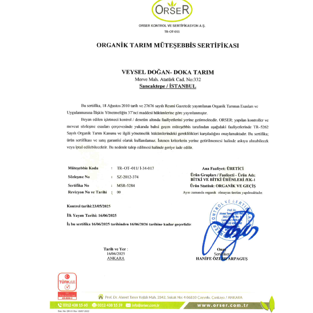 Organik Kereviz (kg) Doka Tarım