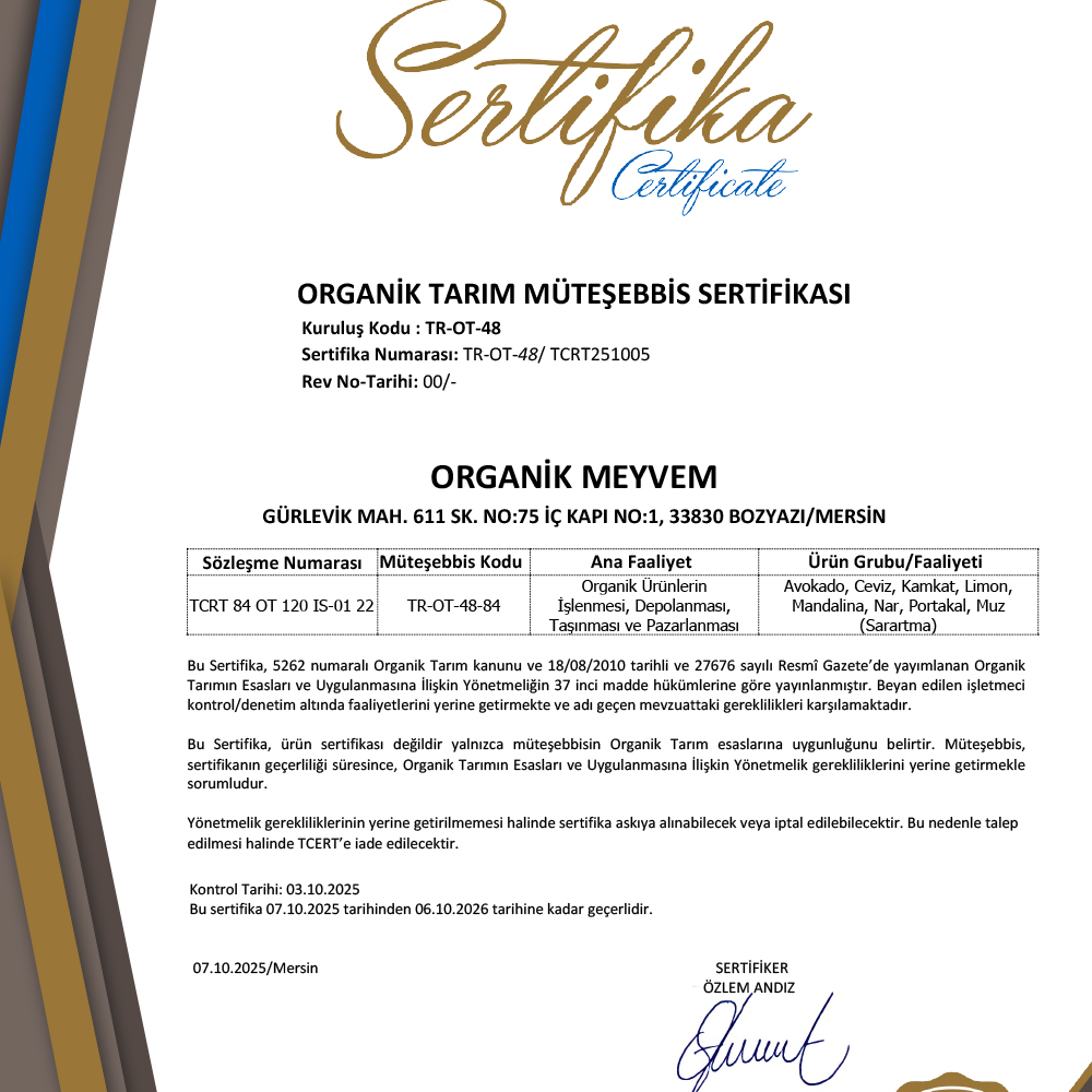 Organik Portakal (500 gr) Talat Çelik Bahçesi-Mersin