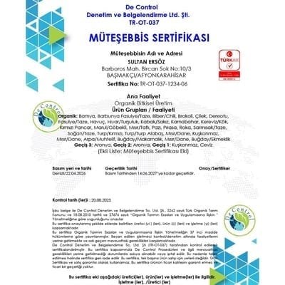 Organik Şeker Domates (500 gr) Ersöz Bahçesi - Afyon