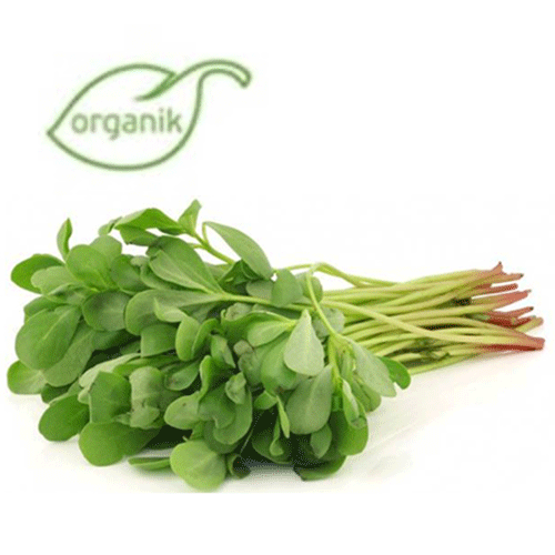 Organik Semizotu (demet) Salih Özkan Çiftliği-Bursa