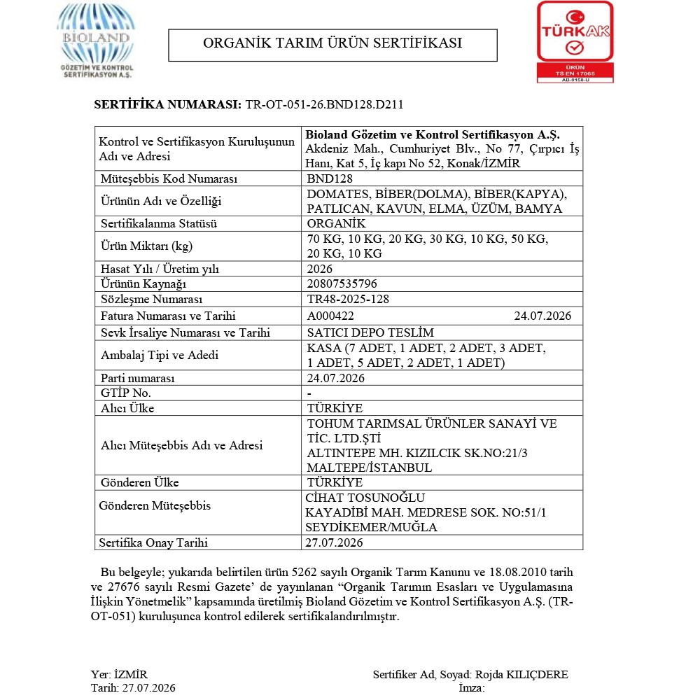 Organik Siyah Üzüm (500 gr) Tohum Tarımsal