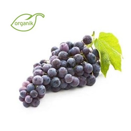 Organik Siyah Üzüm (500 gr) Tohum Tarımsal