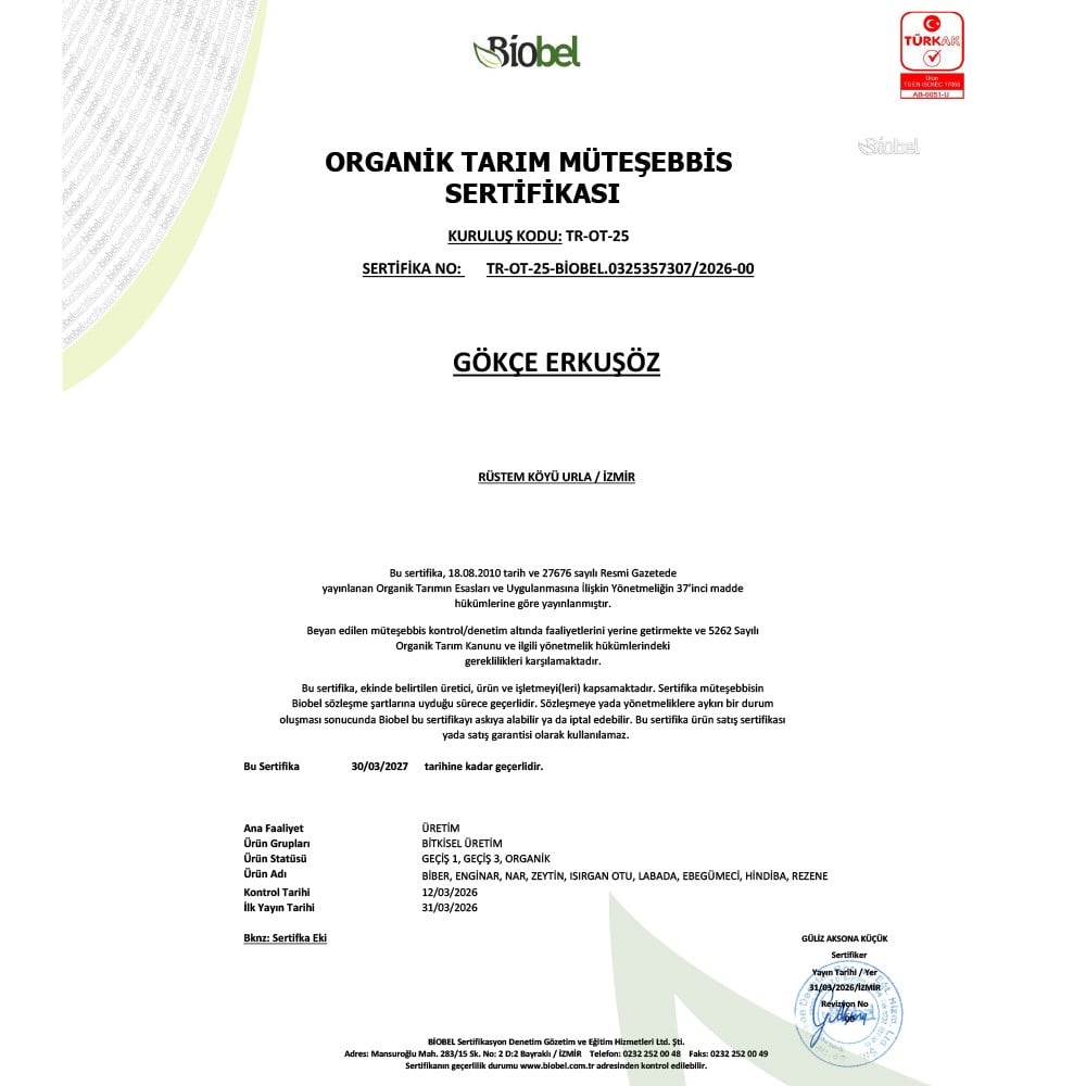 Organik Yapraklı Enginar (adet) Gökçe Erkuşöz