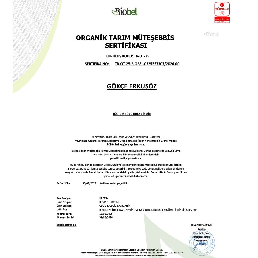 Organik Yapraklı Enginar (adet) Gökçe Erkuşöz