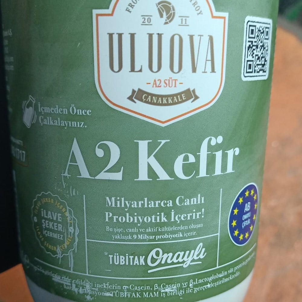 Sade Kefir (1 lt) Uluova