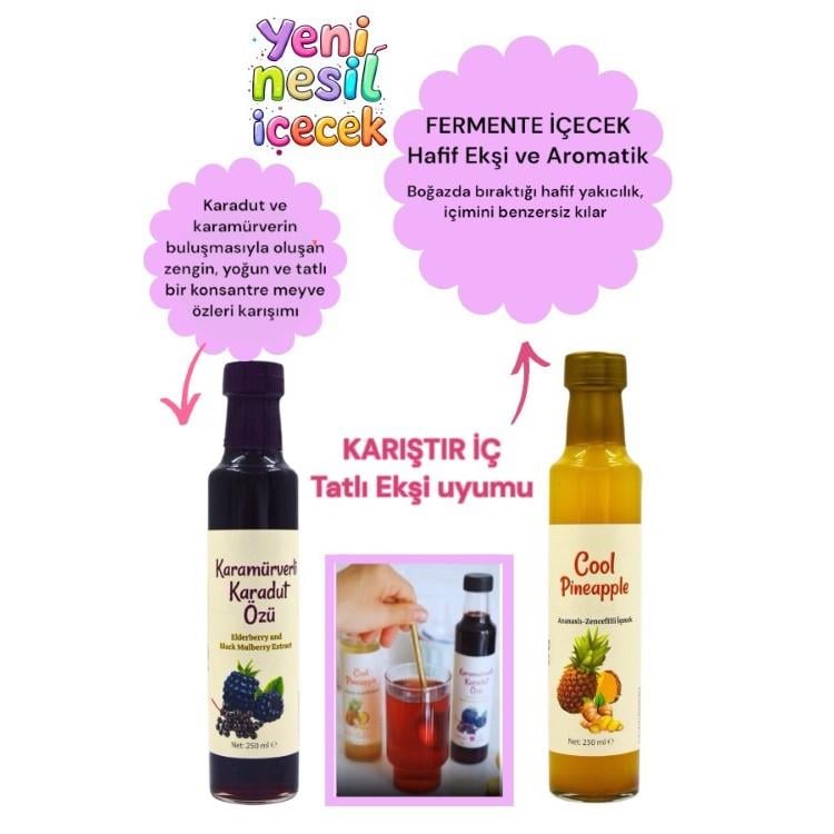 Serin Yaz Ikilisi Cool Pineapple & Karamürverli Karadut Özü 2li set Beygurme