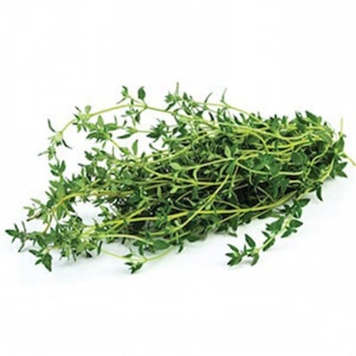 Taze Kekik (demet) Greenada