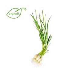 Organik Taze Sarımsak (demet) Doka