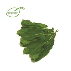 Organik Kuzu Kulağı , demet ** Ersöz Bahçesi - Afyon