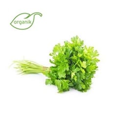 Organik Maydanoz (demet) Salih Özkan Çiftliği-Bursa