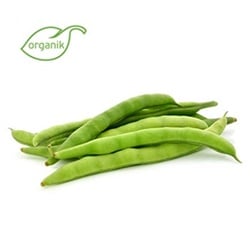 Organik Taze Fasulye (500 gr) Organicasa