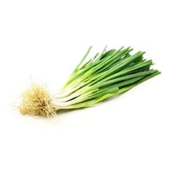 Soğan - Taze, Kandıra (demet)