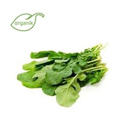 Organik Roka (demet) Kurtdoğmuş Çiftliği