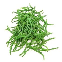 Deniz Börülcesi, Gökova (demet)