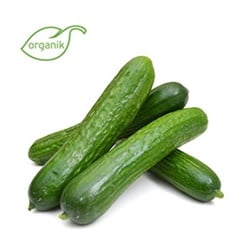 Organik Salatalık (500 gr) Ersöz Bahçesi - Afyon