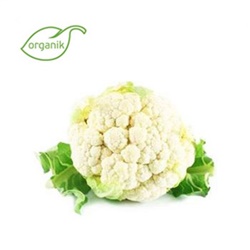 Organik Karnabahar (1,5 kg) Ersöz Bahçesi - Afyon