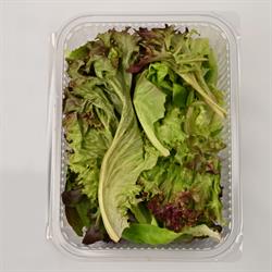 Akdeniz Salatası (150) Medel Greens