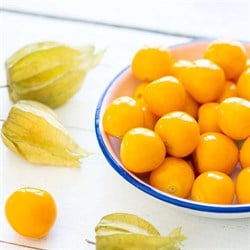 Altın Çilek, İthal (100 gr) Verita