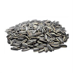 Ay Çekirdek (250 gr)