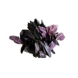 Reyhan - Taze, Cumaköy (demet)