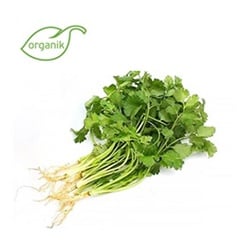 Organik Kişniş , demet - Ersöz Bahçesi - Afyon