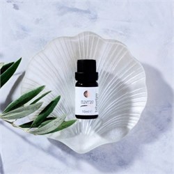 Biberiye Uçucu Yağı (10 ml) Mavras