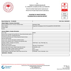 Brokoli, Kestel-Bursa (500 gr)