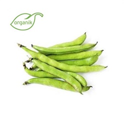 Organik Bakla (500 gr) Kurtdoğmuş Çiftliği