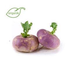 Organik Şalgam Turp (500 gr) Salih Özkan Çiftliği Bursa görseli.