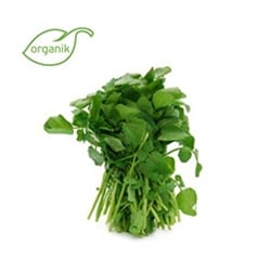 Organik Tere, demet ** Ersöz Bahçesi - Afyon