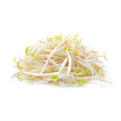 Soya Filizi (125 gr) Greenada görseli.