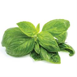 Fesleğen (25 gr) Greenada görseli.