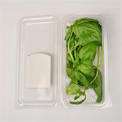 Fesleğen (25 gr) Medel Greens