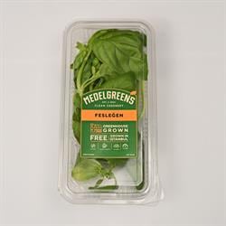 Fesleğen (25 gr) Medel Greens