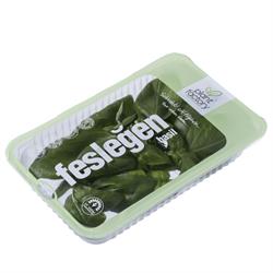 Fesleğen (50 gr) Plant Factory