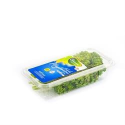 Frenk Maydanozu (25 gr) Greenada