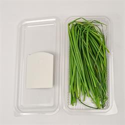 Frenk Maydanozu (25 gr) Medel Greens