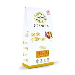 Glutensiz Sade Granola (240 gr) Nature görseli.