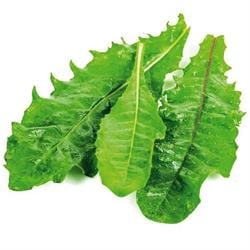 Hindibağ (150 gr) Greenada