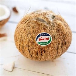 Hindistan Cevizi - İthal (adet) Verita