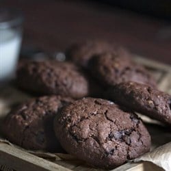 Kakaolu Fındıklı Kurabiye (350 gr) 240derece