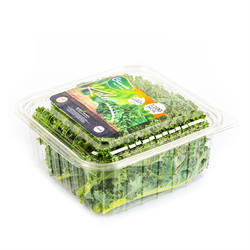 Kale Yaprağı (150 gr) Greenada