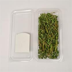 Kekik (25 gr) Medel Greens